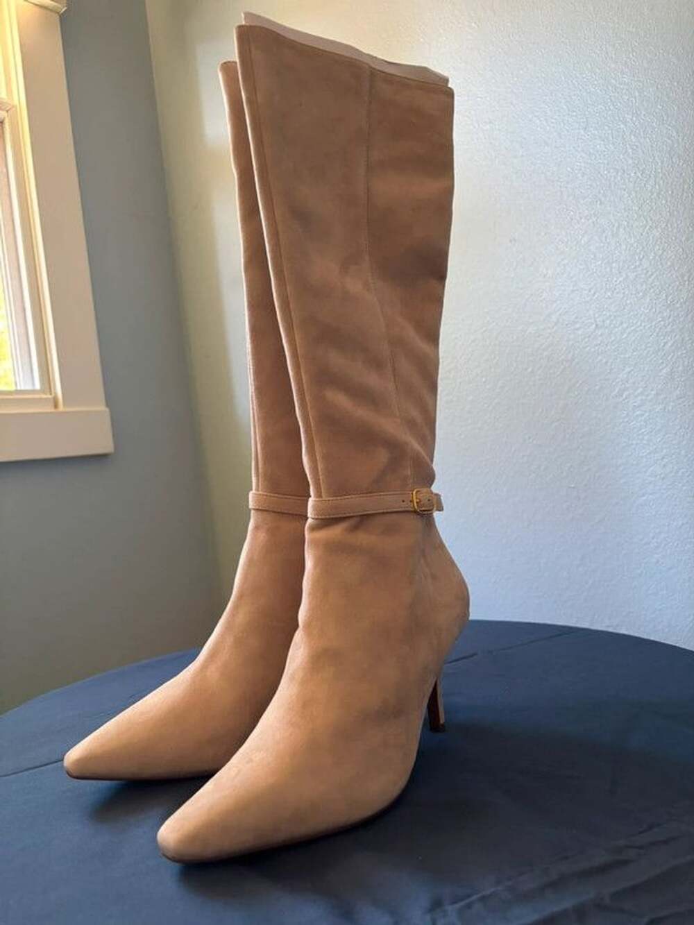 Linea paolo pointed toe, over the knee heals. New in box!